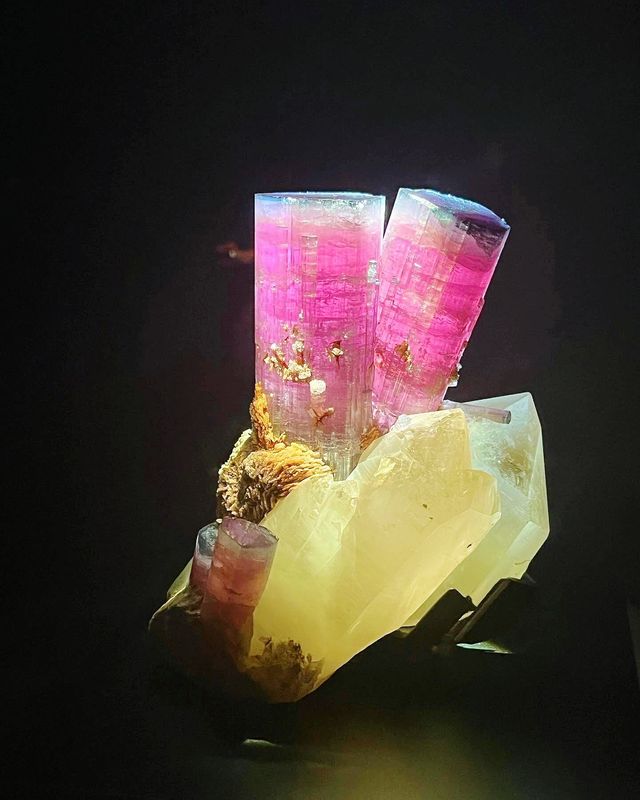 後悔沒早點來休斯頓自然科學博物館