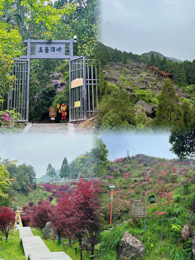 溫州攻略|浙南往南 怪石嶙峋的玉蒼山