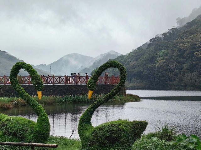 廣州溜娃玩水最美地！！廣州從化石門森林公園