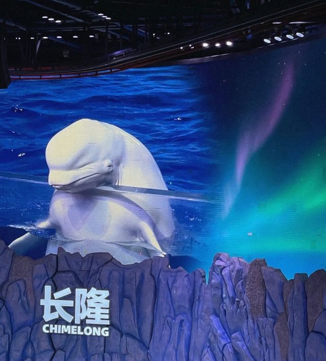 珠海長隆海洋王國，帶你領略海洋的奇妙與壯麗！