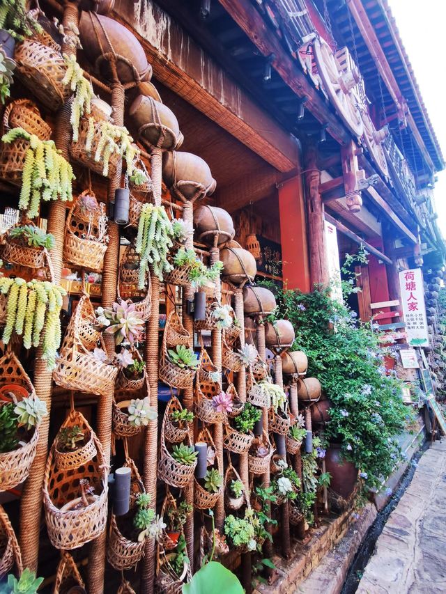 桃花醉