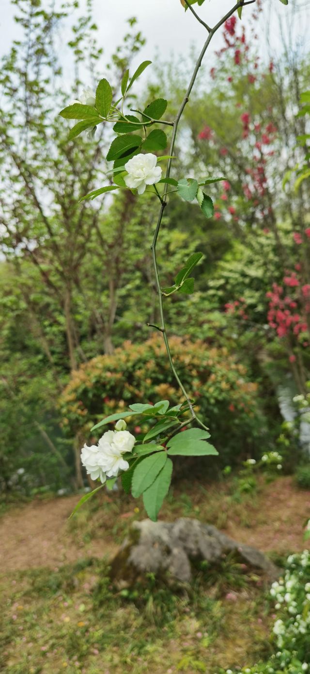 十里河灘