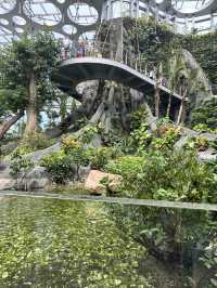 上海遛娃新去處｜上海溫室花園太美了吧