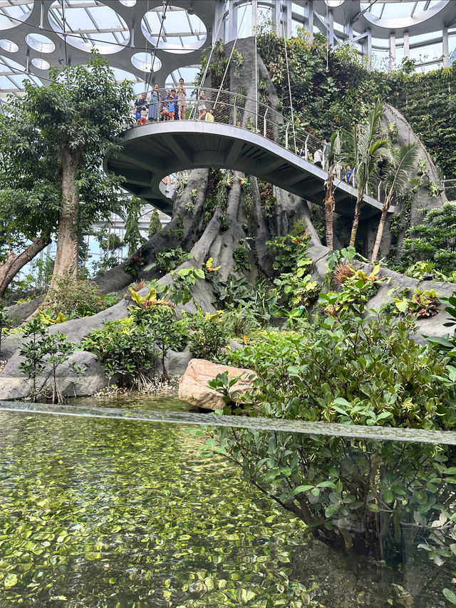 上海遛娃新去處｜上海溫室花園太美了吧