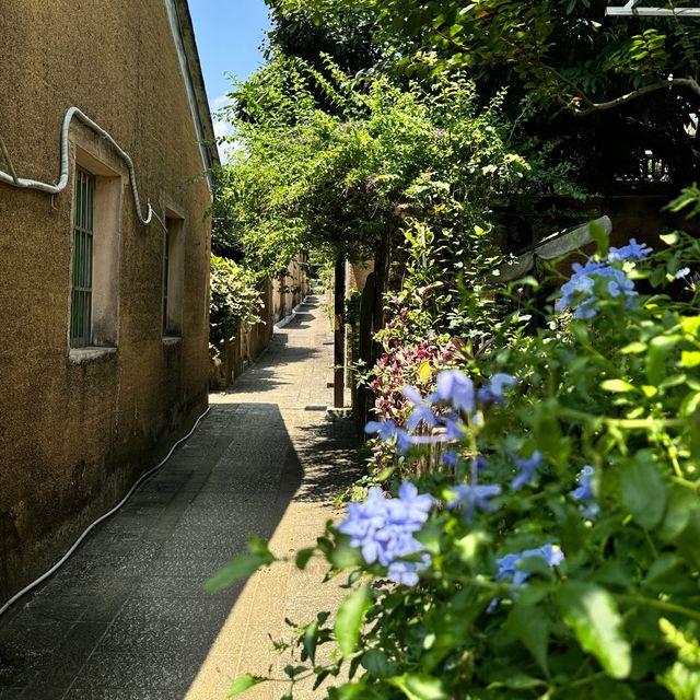 鏡頭下的古韻風情-珠海小眾古村-排山古村。