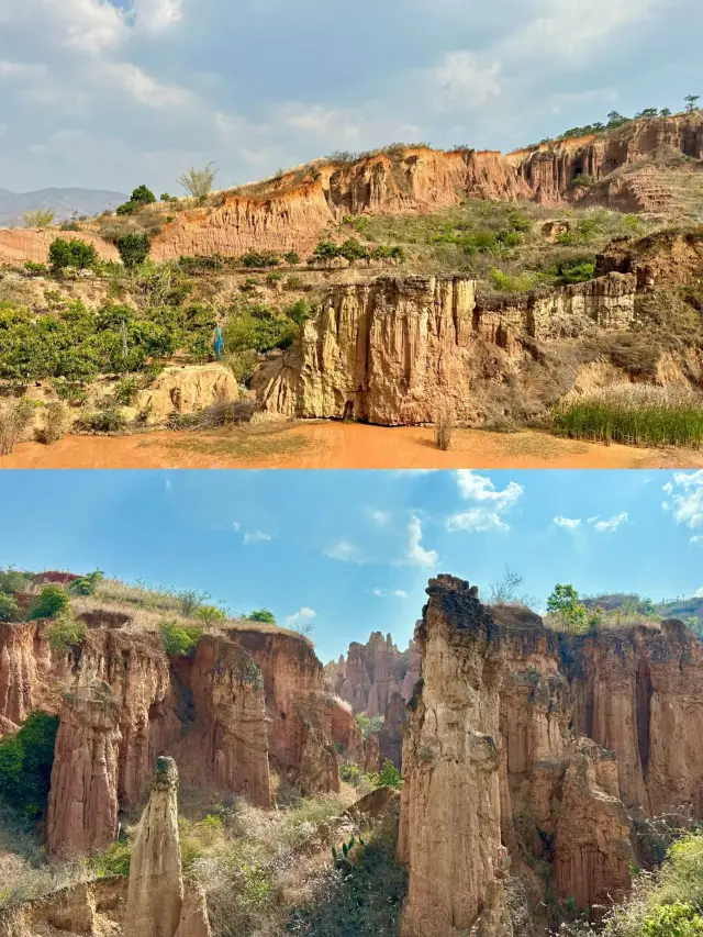 Eternal Marvel: Yuanmou Earth Forest 🌳🌲