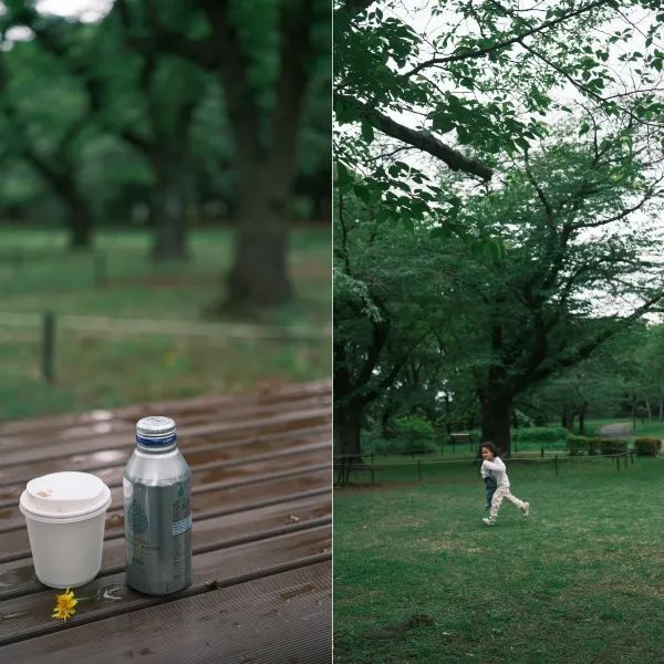 東京｜悠閒漫步·代代木公園到根津美術館 🚶‍♂️🌳🎨