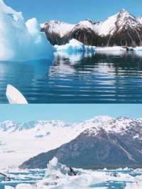 Adventure at it's Peak at Bear Glacier kayak❤️