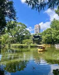台風「貝碧嘉」過後遊覽川沙公園。