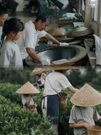 黎平龍形衝 TEATEL 茶主題民宿。