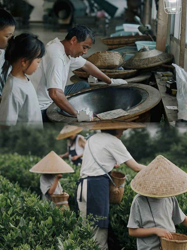 黎平龍形衝 TEATEL 茶主題民宿。