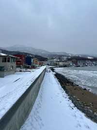 北海道小樽兩天兩晚攻略。