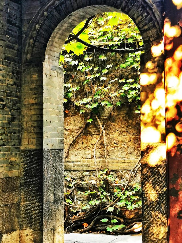 趵突勝境,堪比仙境!。 趵突勝境,堪比仙境!。