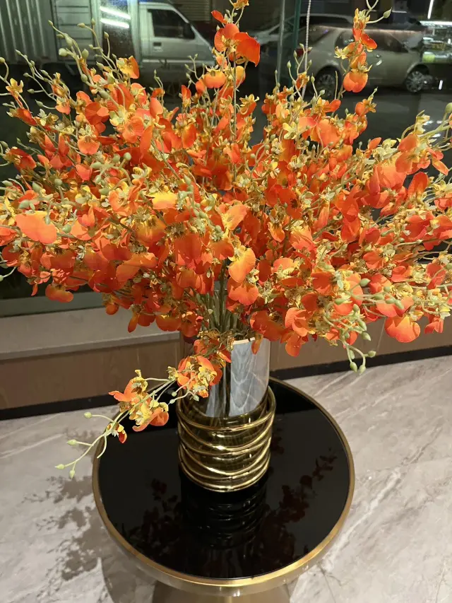 출발: 불꽃놀이의 땅을 향한 꿈.