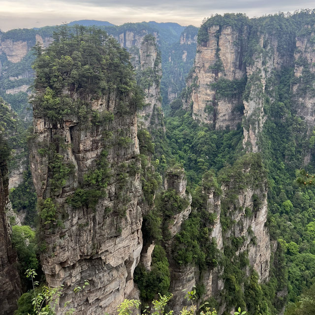 This Forest park inspired the famous AVATAR 🎦 