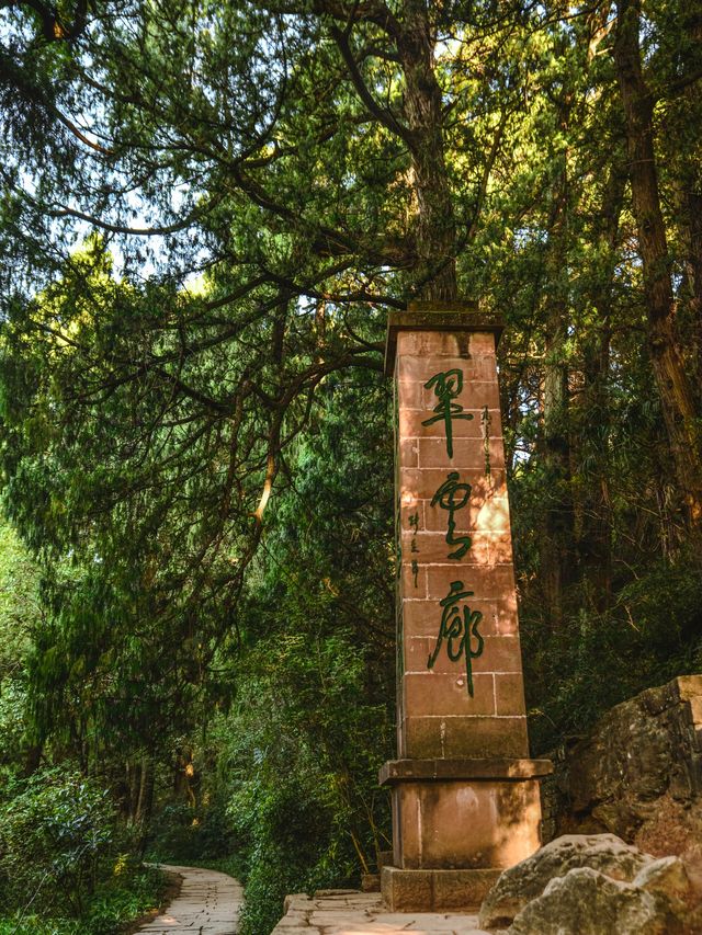 這一面，等待了千年的光景。