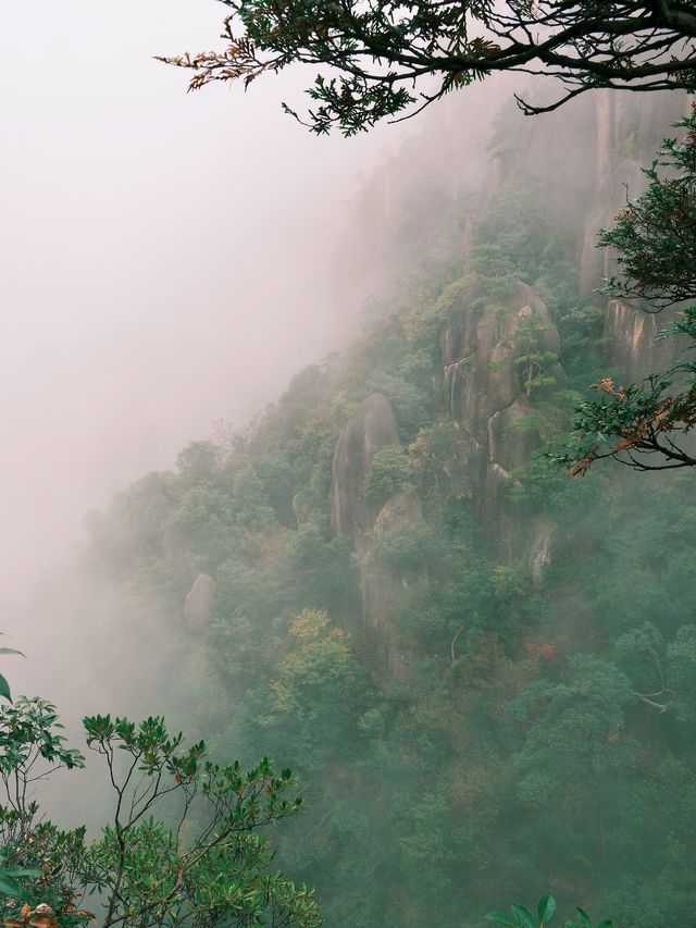 三清山迷霧探險記，雨天徒步也精彩？。