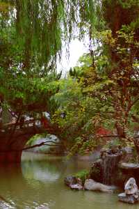 又到了醉白池最美的季節。