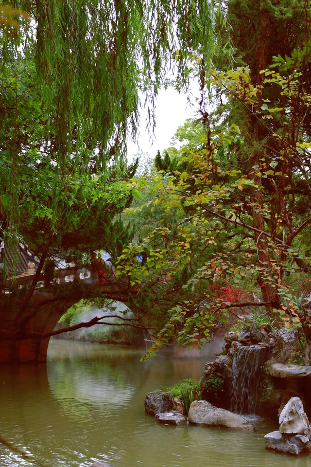 又到了醉白池最美的季節。 又到了醉白池最美的季節。