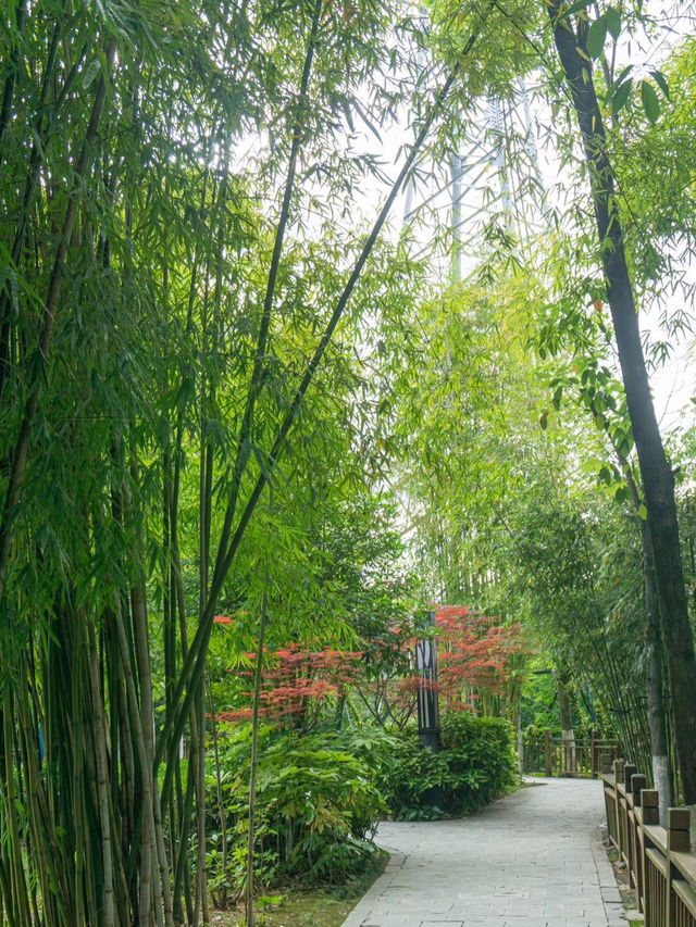住進翠竹環抱的小島，山川美景皆在眼前。