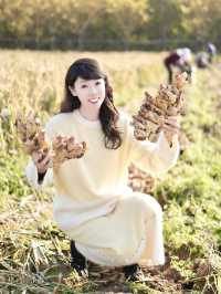 快來鄒平青陽鎮看祖國的大好「薑」山。