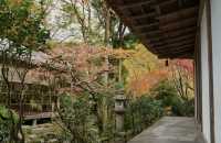 名古屋周邊｜上高地封山也能進噢。