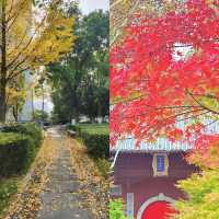 冬天的旅行清單：11月必訪的5大魅力城市。
