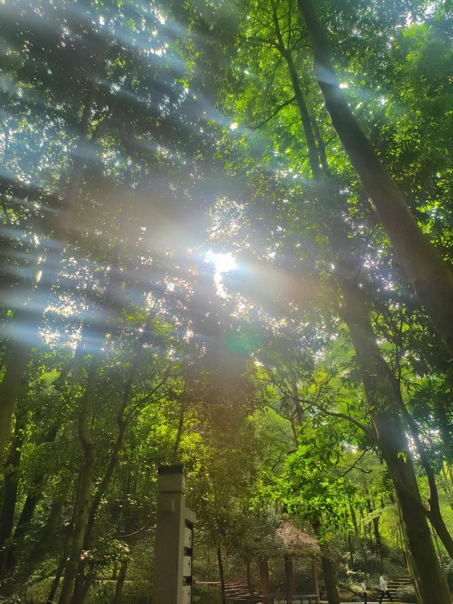 帽子峰|秋爽落處。