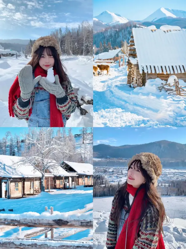 알타이 현황 12-3월 여행 가는 자매들에게!