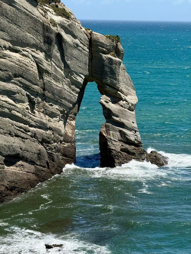 探索新西蘭南島的隱秘角落——Cape Farewell。