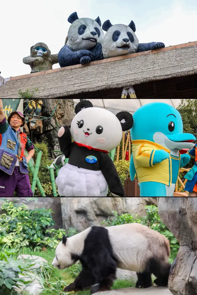 Life advice: How to make the most of your visit to Ocean Park Hong Kong. 