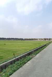 廊下郊野公園。