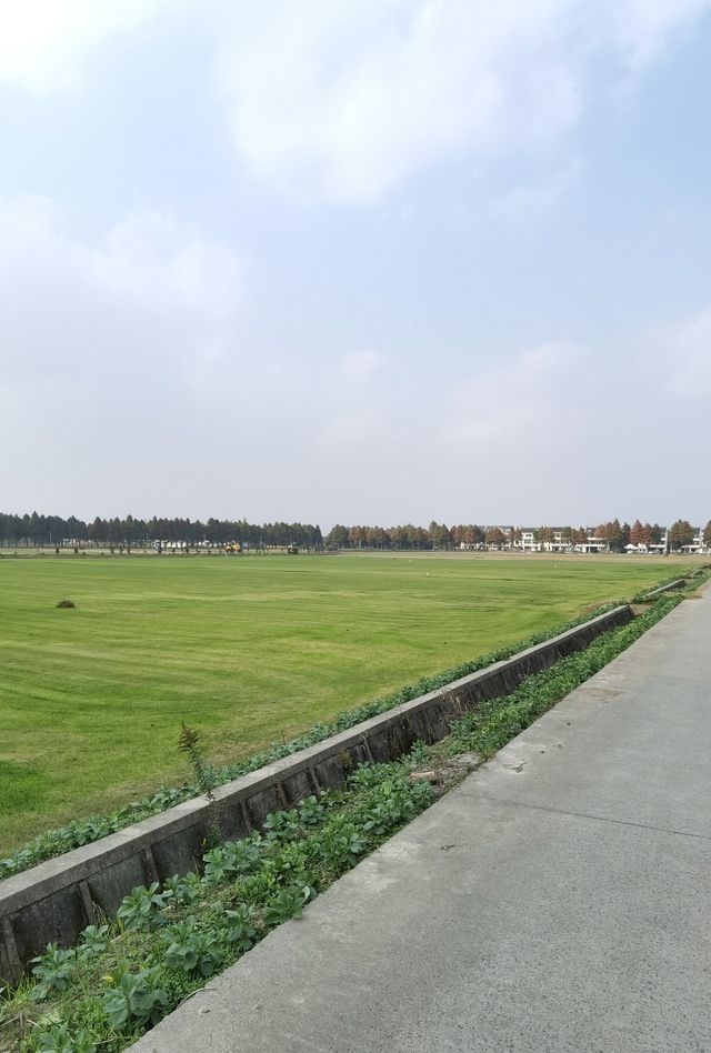 廊下郊野公園。