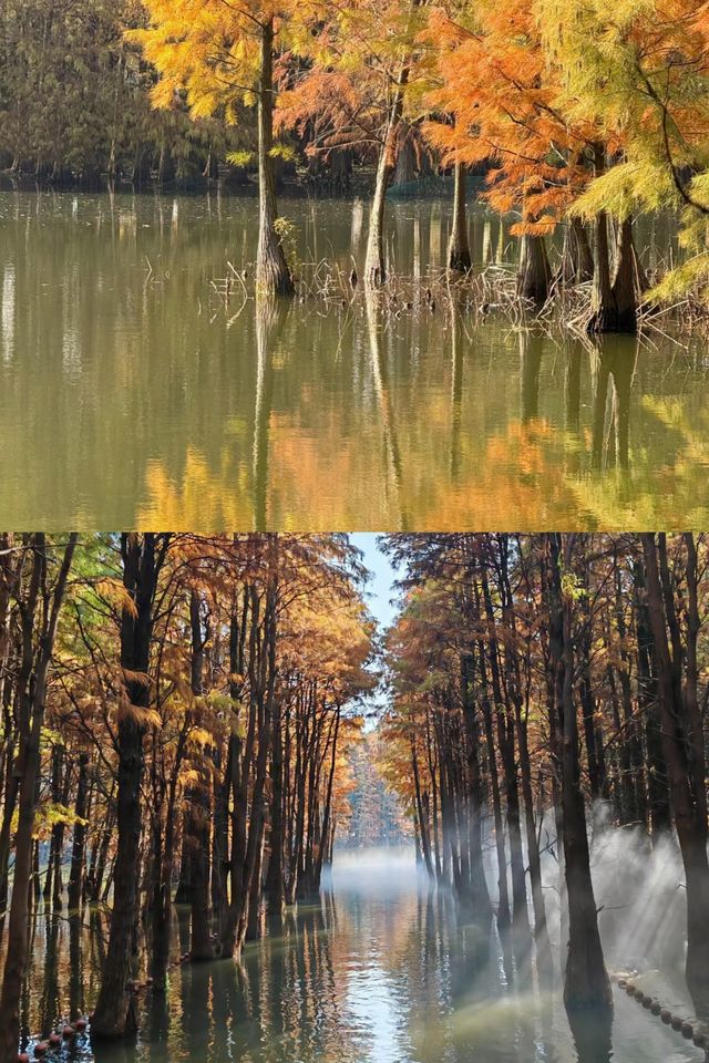 不是大理是蘇州常熟溫柔的水鄉之城