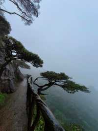 江西三清山｜三清盛景，峰奇雲繞韻無窮