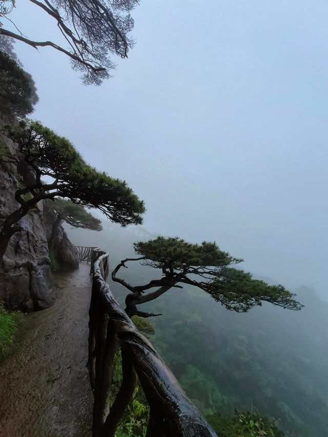 江西三清山｜三清盛景，峰奇雲繞韻無窮