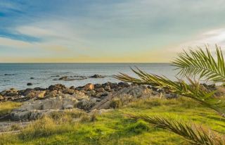 Uruguay's Coastal City: A Leisurely Seaside Painting