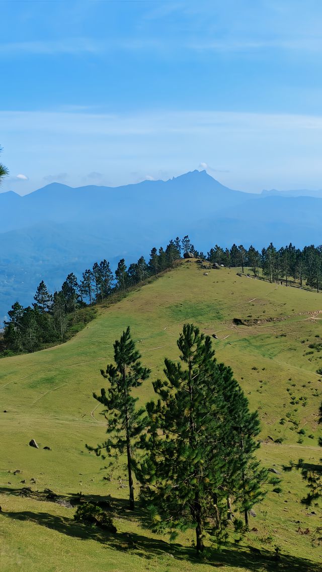 據說這裡的高山草甸獨屬海南·同款阿勒泰天花板
