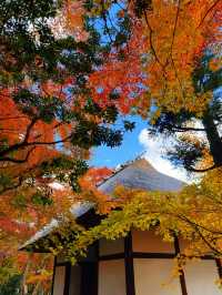 京都紅葉季最不能錯過的地方—常寂光寺