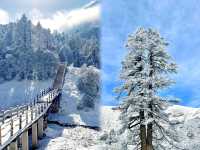 不是東北是隴南！超詳細兩日遊賞雪路線來啦
