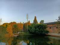 紅井景區