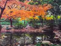 上海的莫奈花園