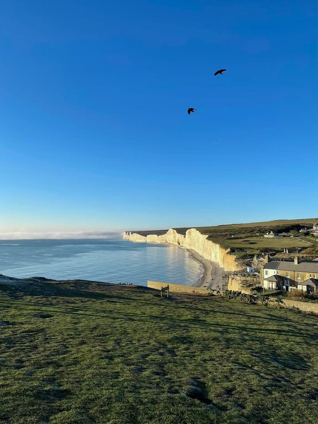 英國白崖旅遊攻略 | 絕美海岸線等你來