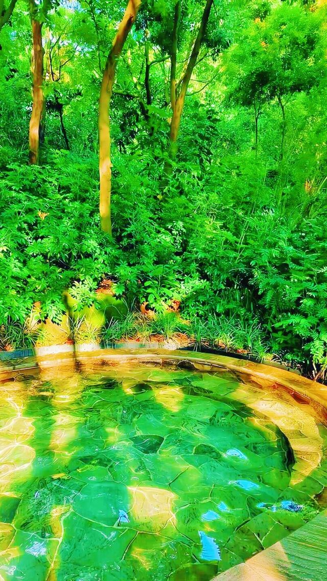 長白山天沐溫泉適合哪個季節遊玩？