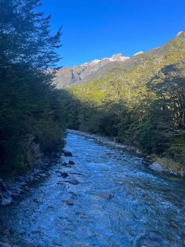尼爾森藍湖——世界上最清澈的湖泊
