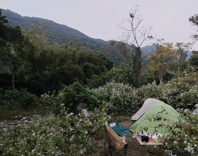 陽春爛頭嶺：在山野間邂逅自由與堅韌