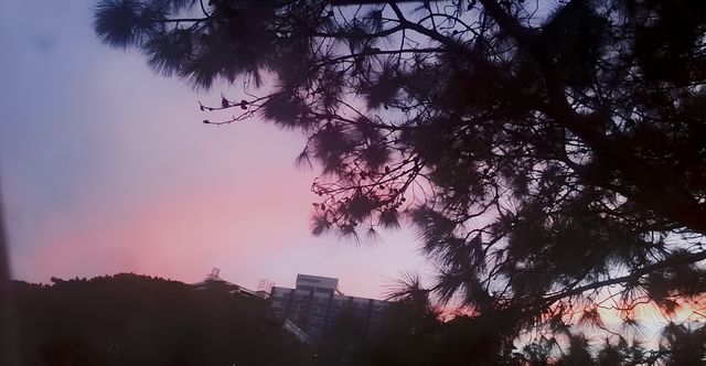 迷戀菲律賓「夏都」——碧瑤市