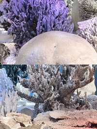 天津濱海海洋博物館,解鎖藍色星球的奧秘