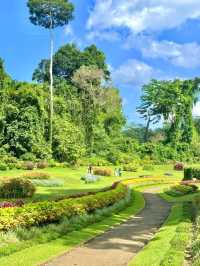 Explore the Royal Botanical Gardens in Kandy, Sri Lanka