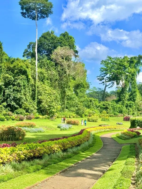 Explore the Royal Botanical Gardens in Kandy, Sri Lanka